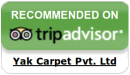 trip-advisor