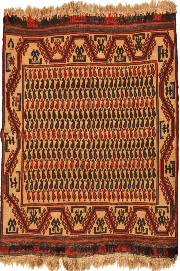 Shop for elegant Bori Needle Kilims carpet with best quality