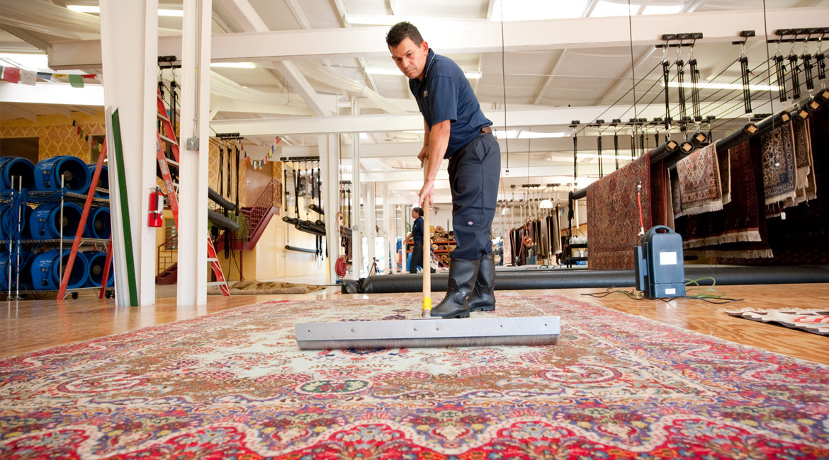 Professional Carpet Cleaning Service in Delhi