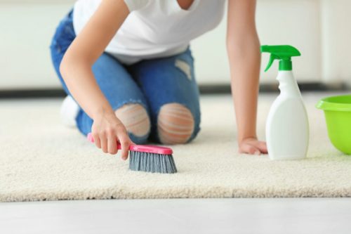 How to Disinfect a Carpet