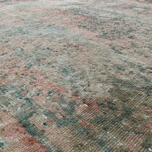 Mould and Water Damage Image